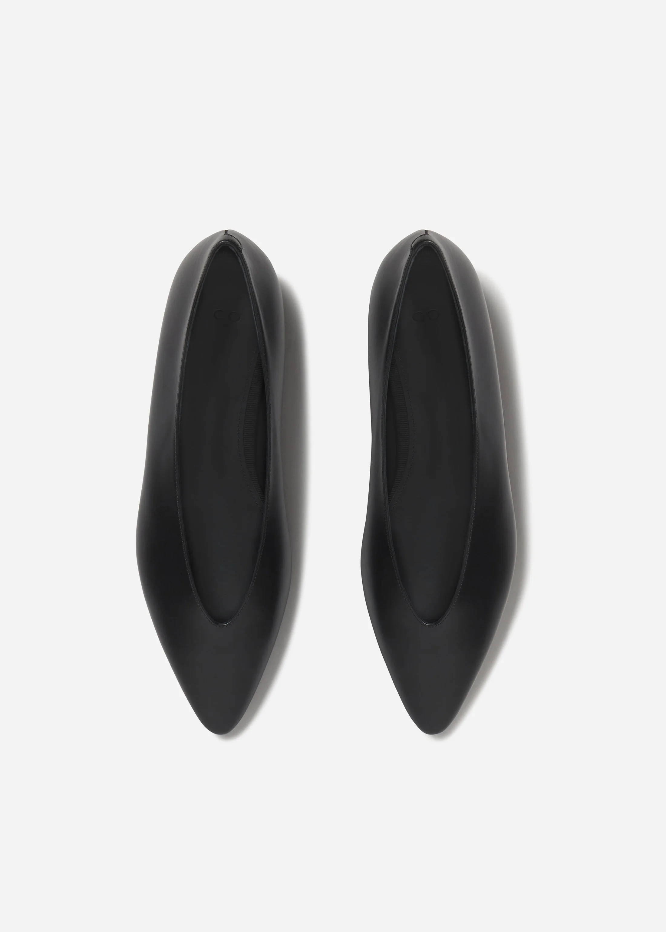Pointed Ballerina Leather Flat in Black